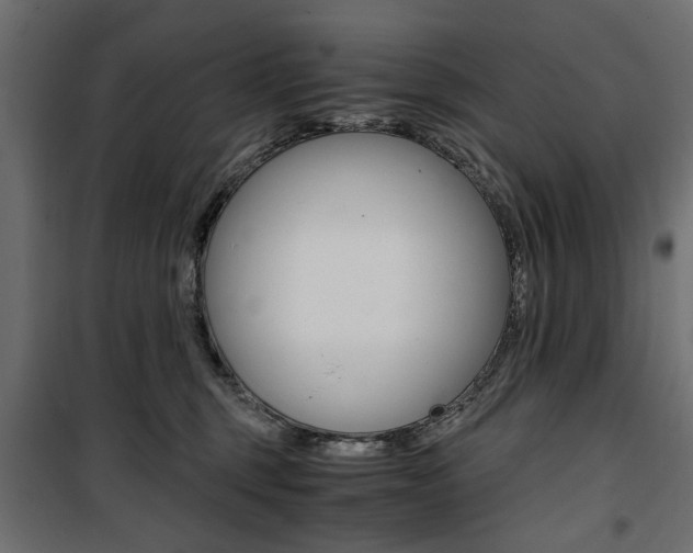 X0000100880375200806201153