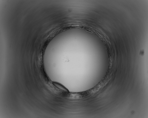 X0000100880376200806201153