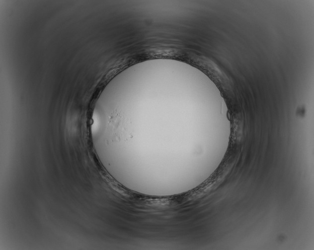 X0000100880377200806201153