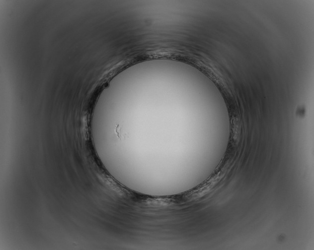 X0000100880378200806201153