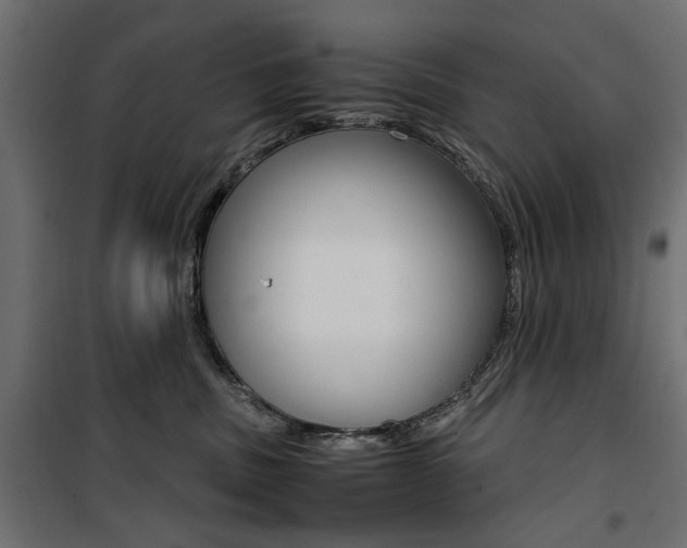 X0000100880379200806201153