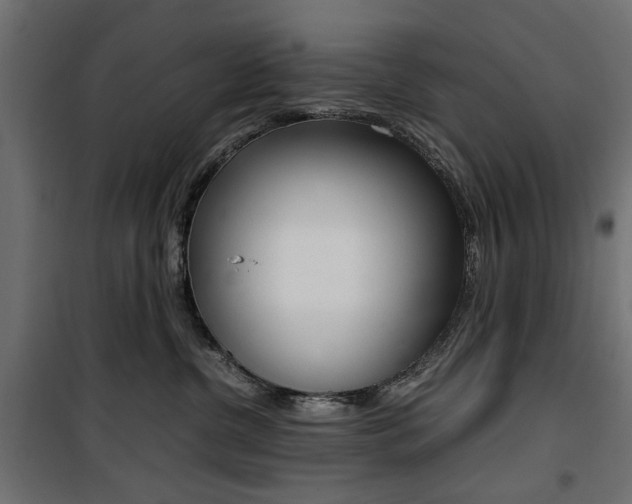 X0000100880380200806201153