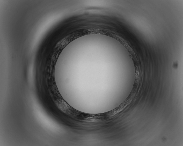X0000100880381200806201153