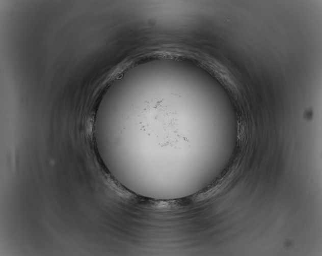 X0000100880382200806201153