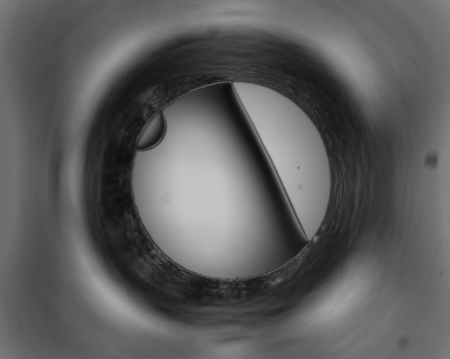 X0000100880383200806201153