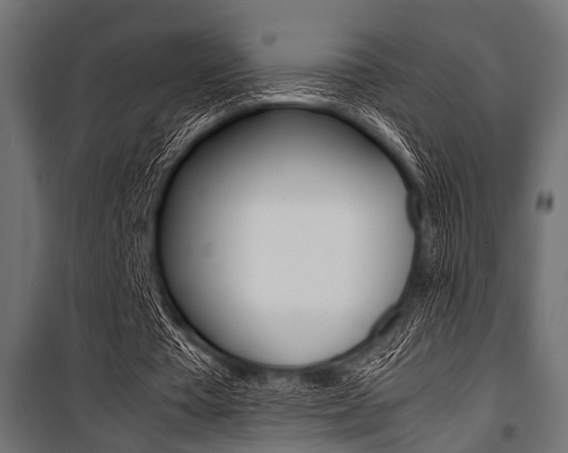 X0000100880385200806201152