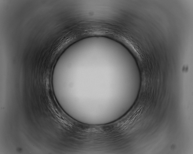 X0000100880386200806201152