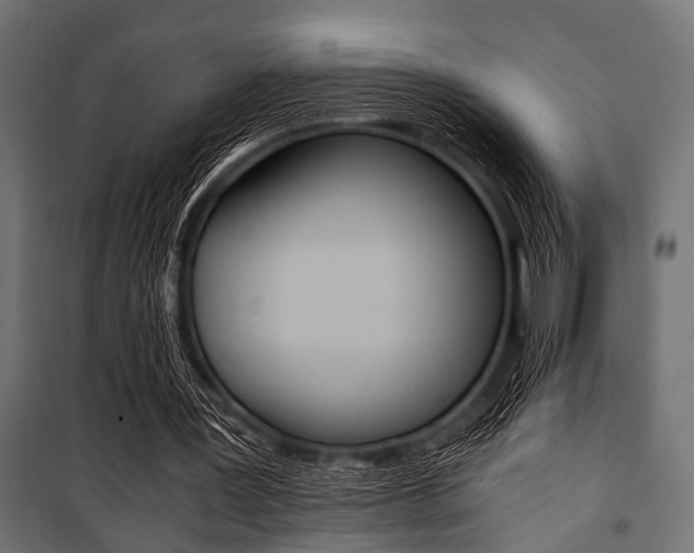 X0000100880387200806201152
