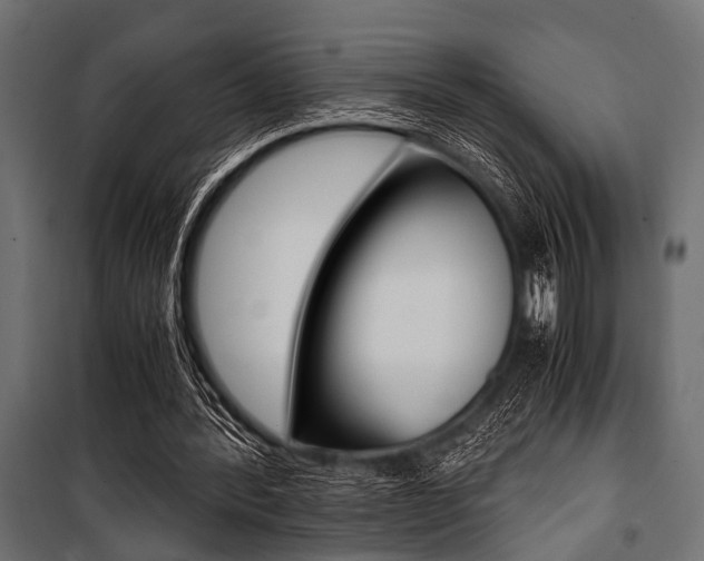 X0000100880388200806201152