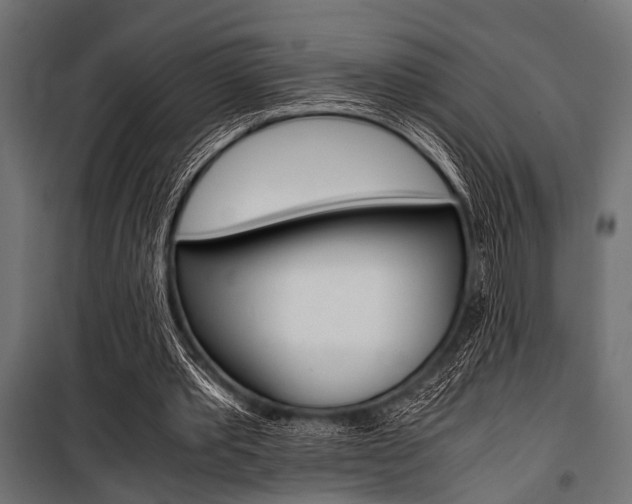 X0000100880389200806201152