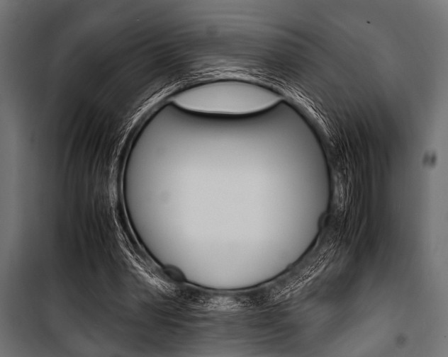 X0000100880390200806201152