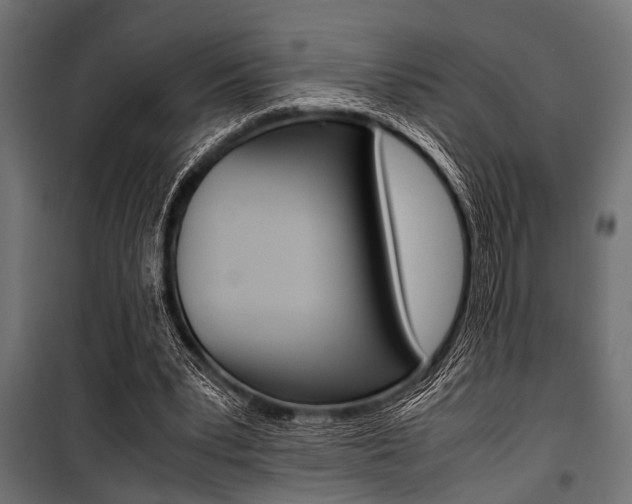 X0000100880391200806201152