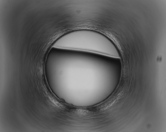 X0000100880393200806201152