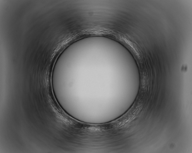 X0000100880394200806201152
