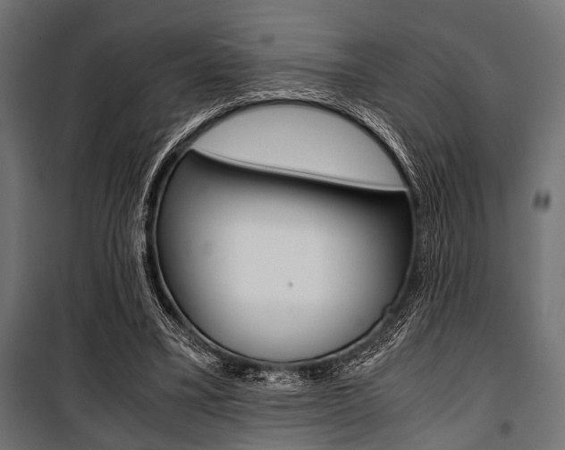 X0000100880395200806201152