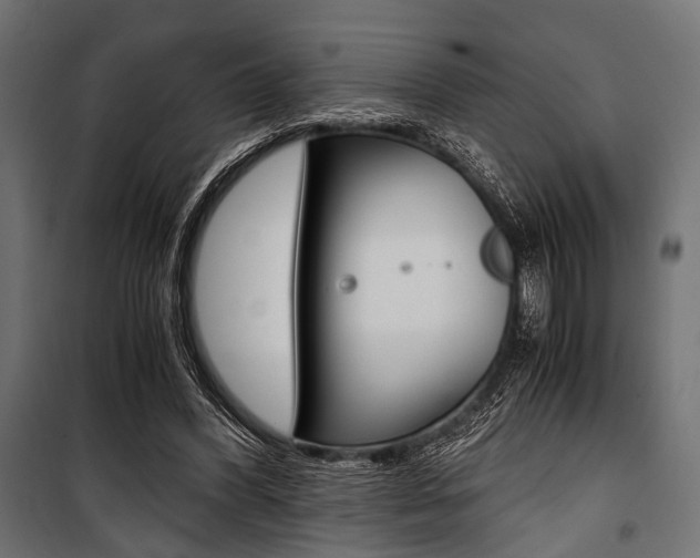 X0000100880396200806201152