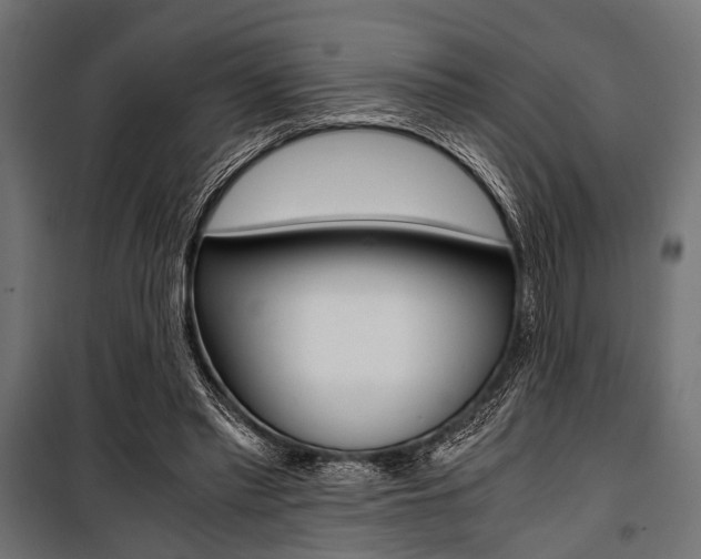 X0000100880397200806201152