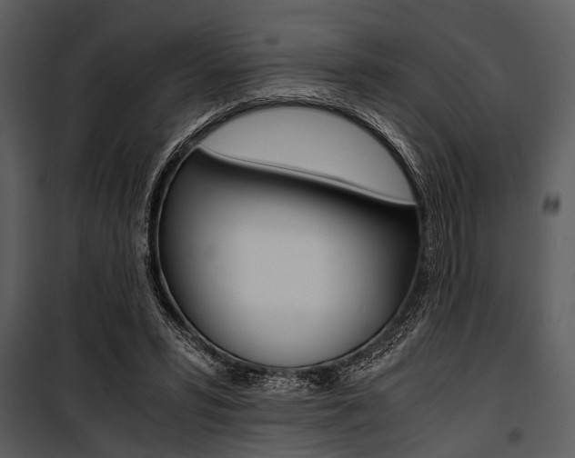 X0000100880399200806201152