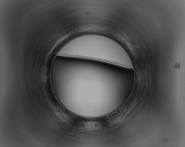 X0000100880400200806201152