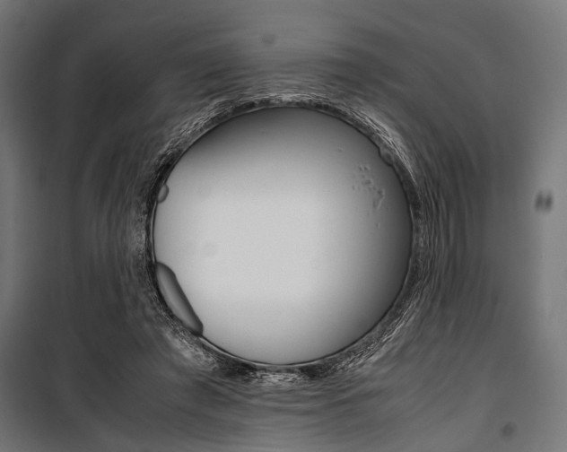 X0000100880401200806201152