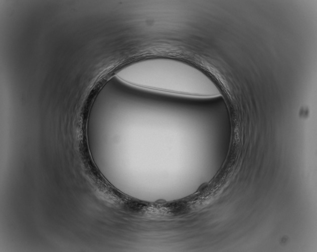 X0000100880403200806201152