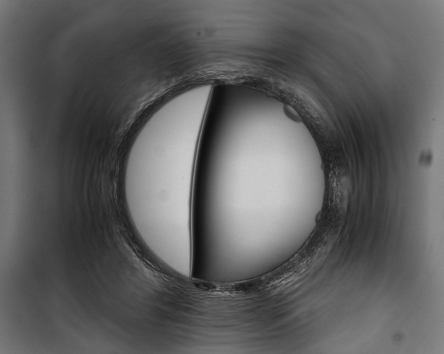 X0000100880404200806201152