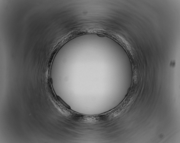 X0000100880405200806201152