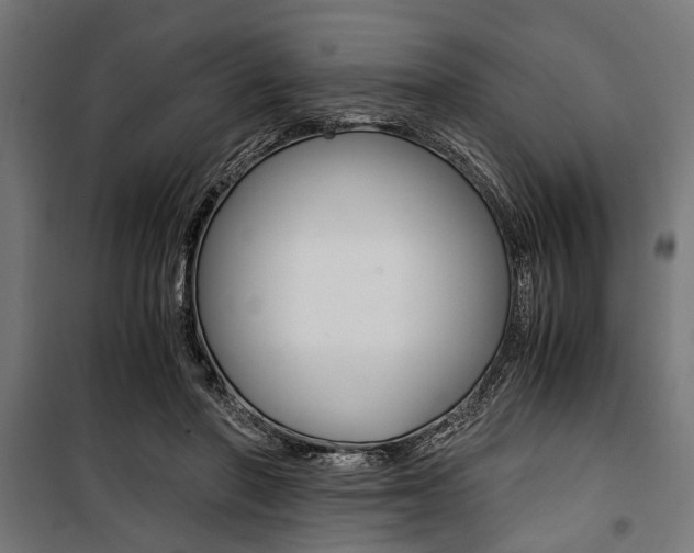 X0000100880406200806201152