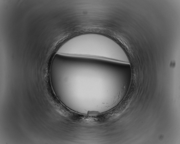 X0000100880407200806201152