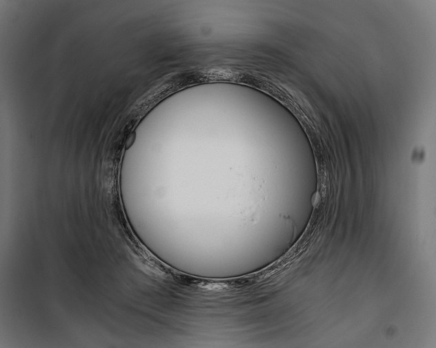 X0000100880409200806201152