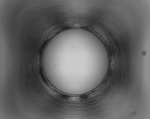 X0000100880410200806201152