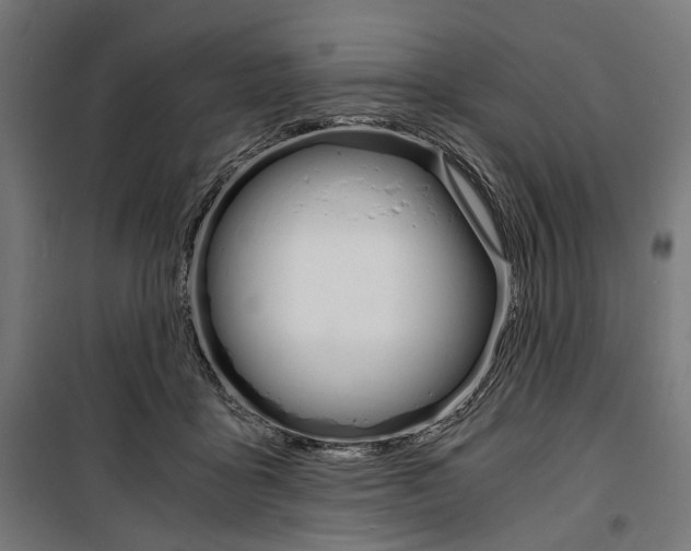 X0000100880411200806201152