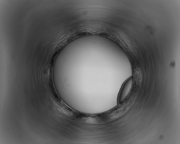 X0000100880412200806201152