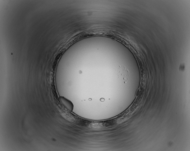 X0000100880413200806201152