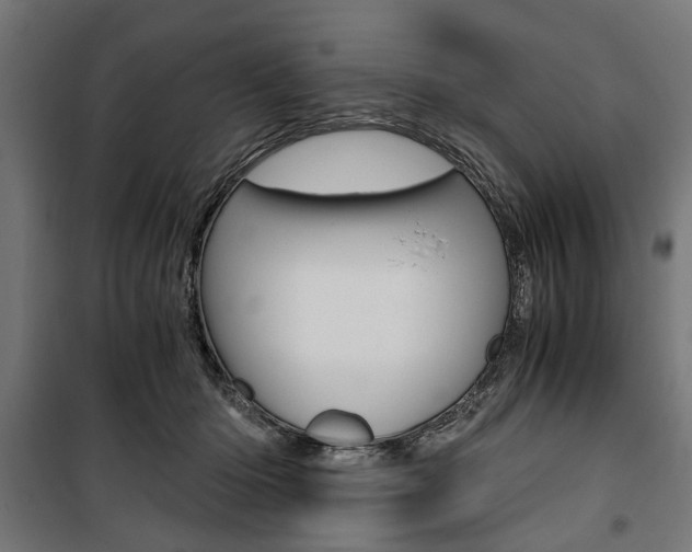 X0000100880414200806201152