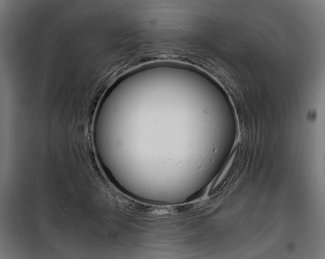 X0000100880415200806201152