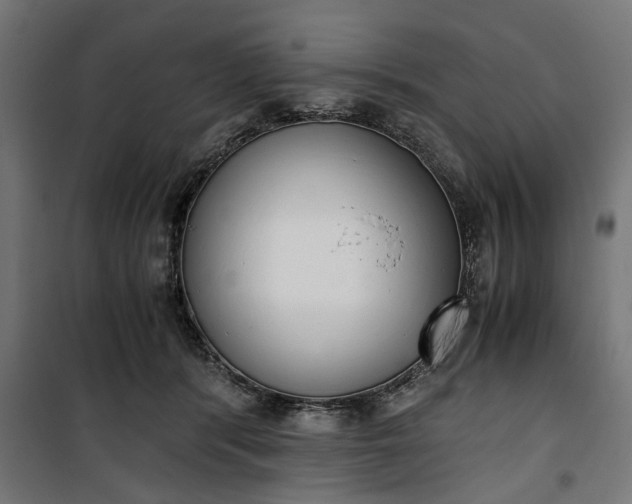 X0000100880416200806201151