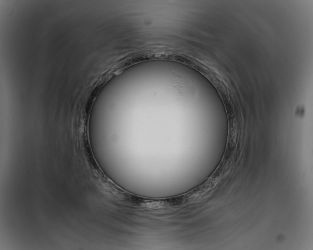 X0000100880417200806201151