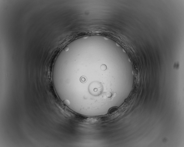 X0000100880418200806201151