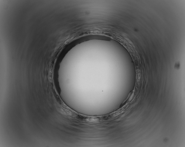 X0000100880419200806201151
