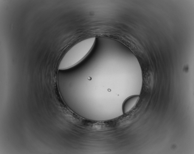 X0000100880420200806201151