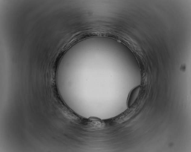 X0000100880421200806201151