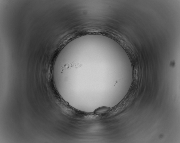 X0000100880422200806201151