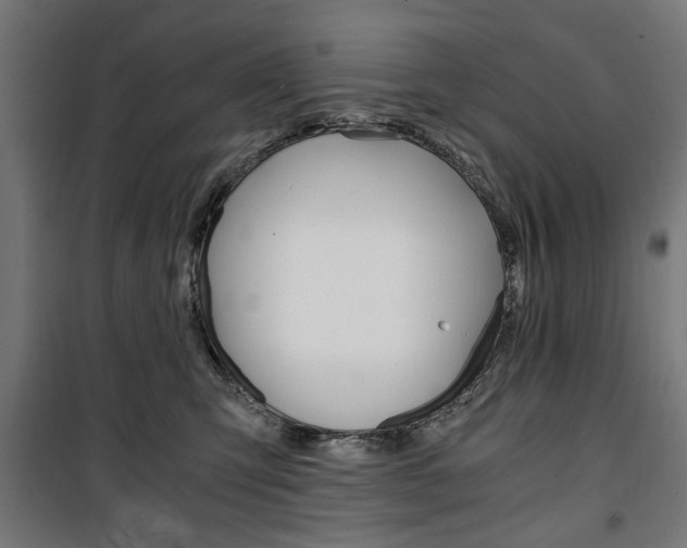 X0000100880423200806201151