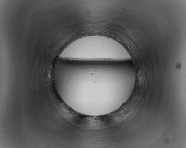 X0000100880424200806201151
