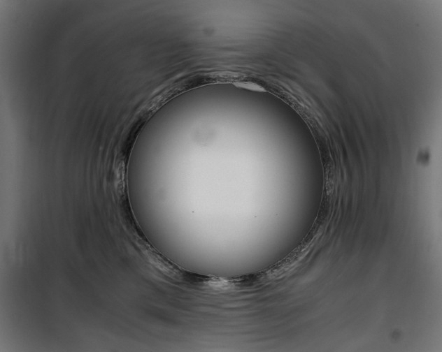 X0000100880425200806201151