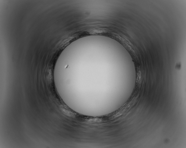 X0000100880426200806201151