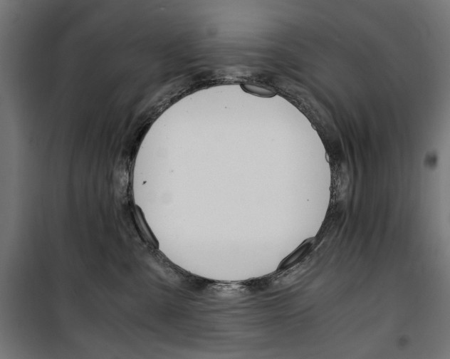 X0000100880427200806201151