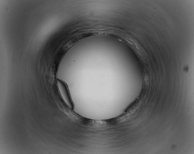 X0000100880429200806201151
