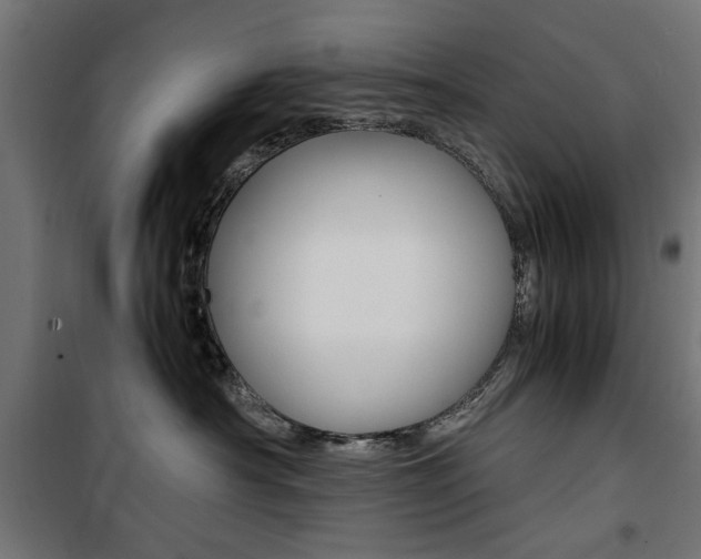 X0000100880430200806201151